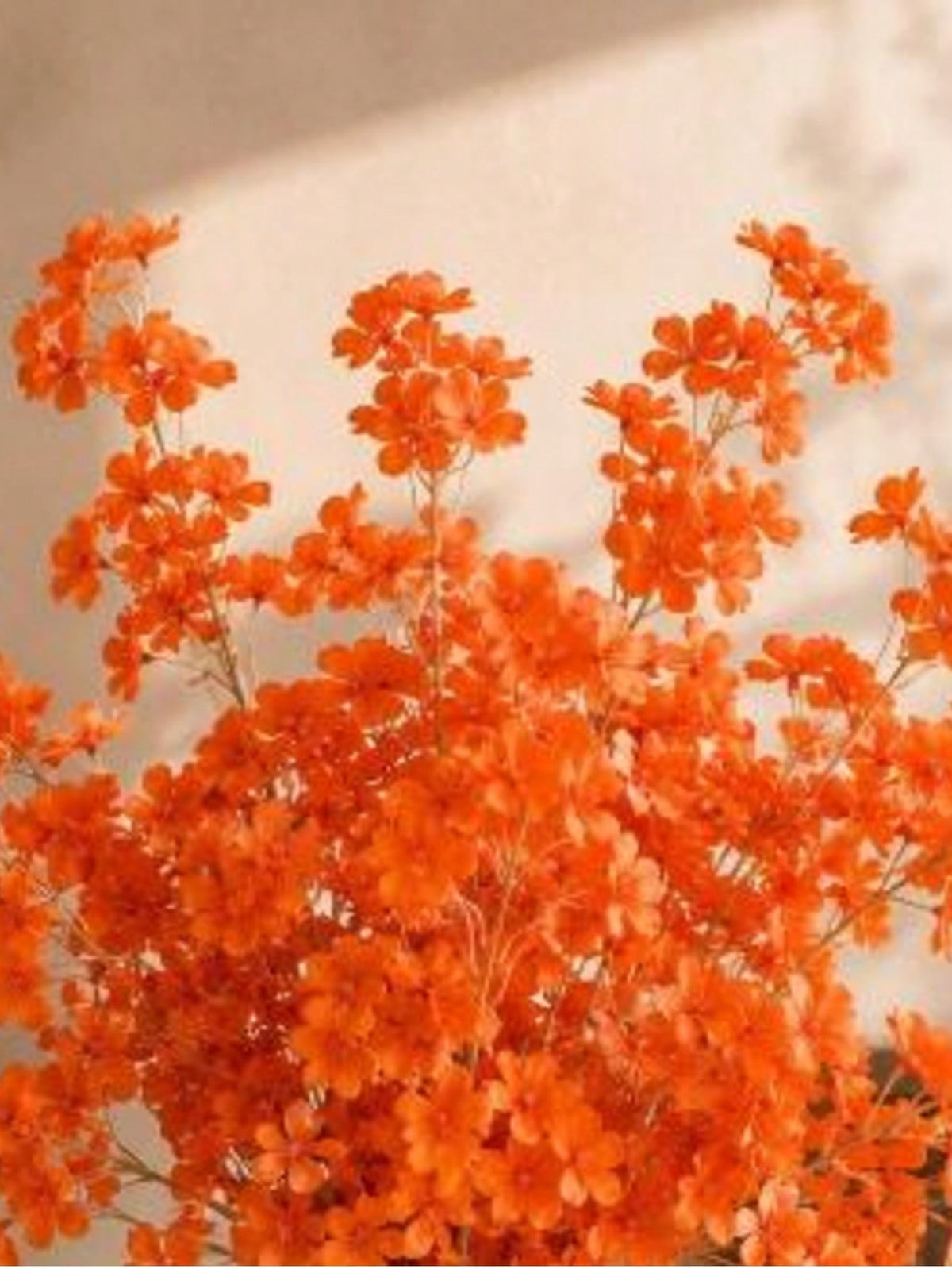 orange blossom artificial spray - photo 4