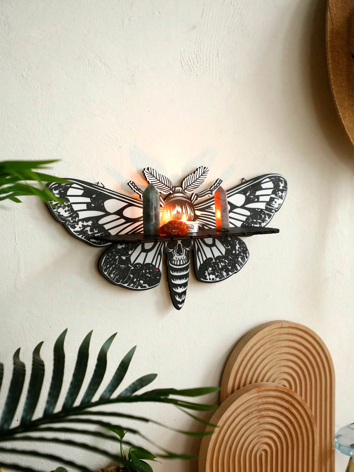 death's head moth wall shelf - Gray & White photo 6