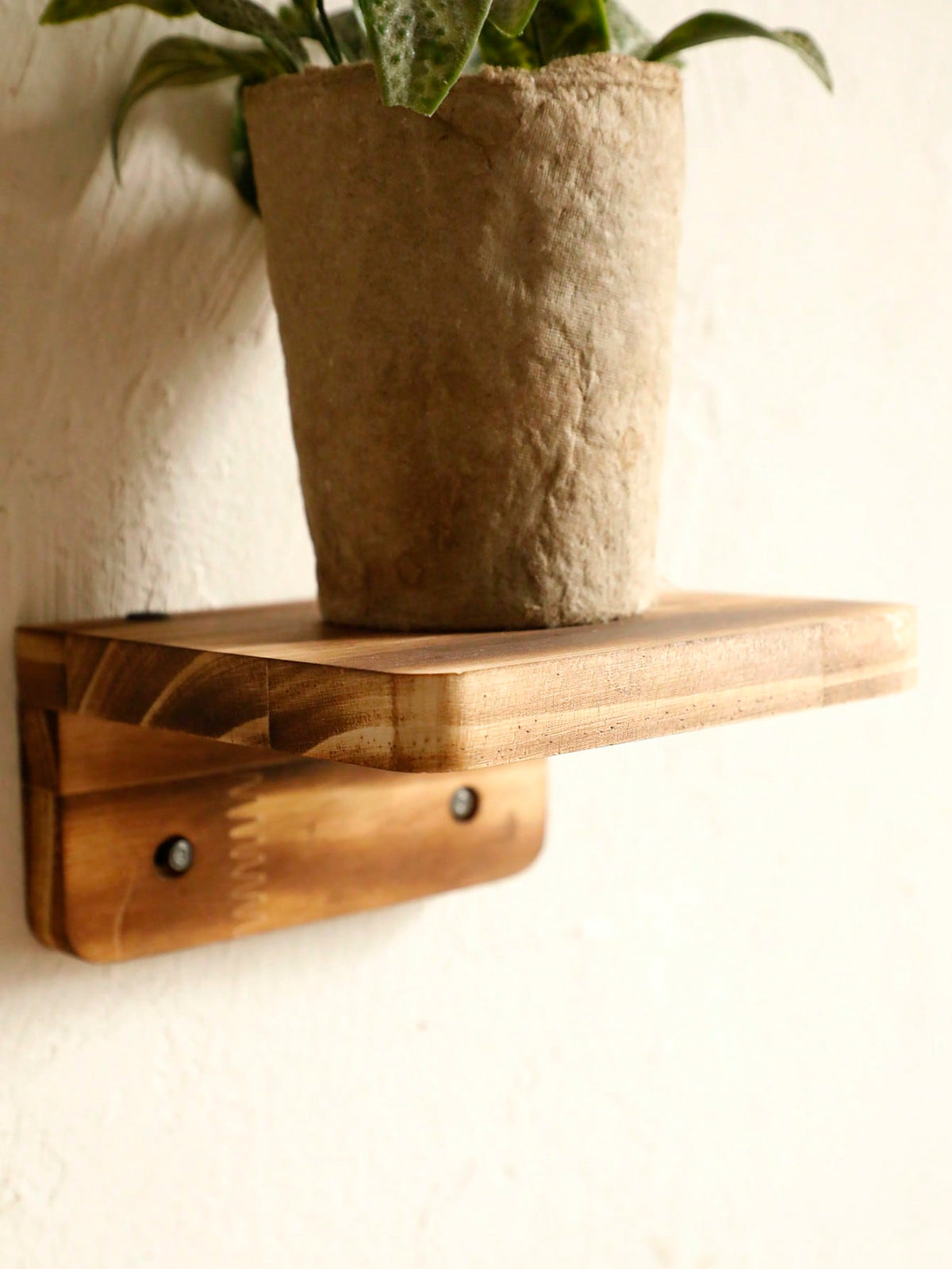 mini wood floating ledge shelf - photo 7