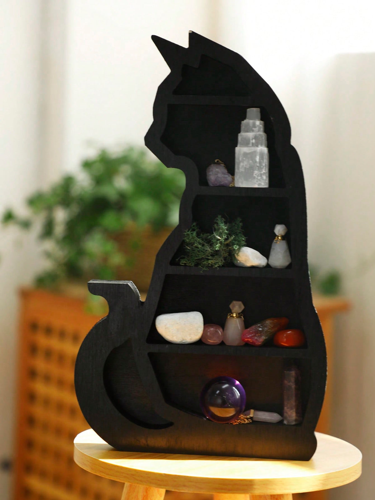 black cat tiered display shelf - photo 7