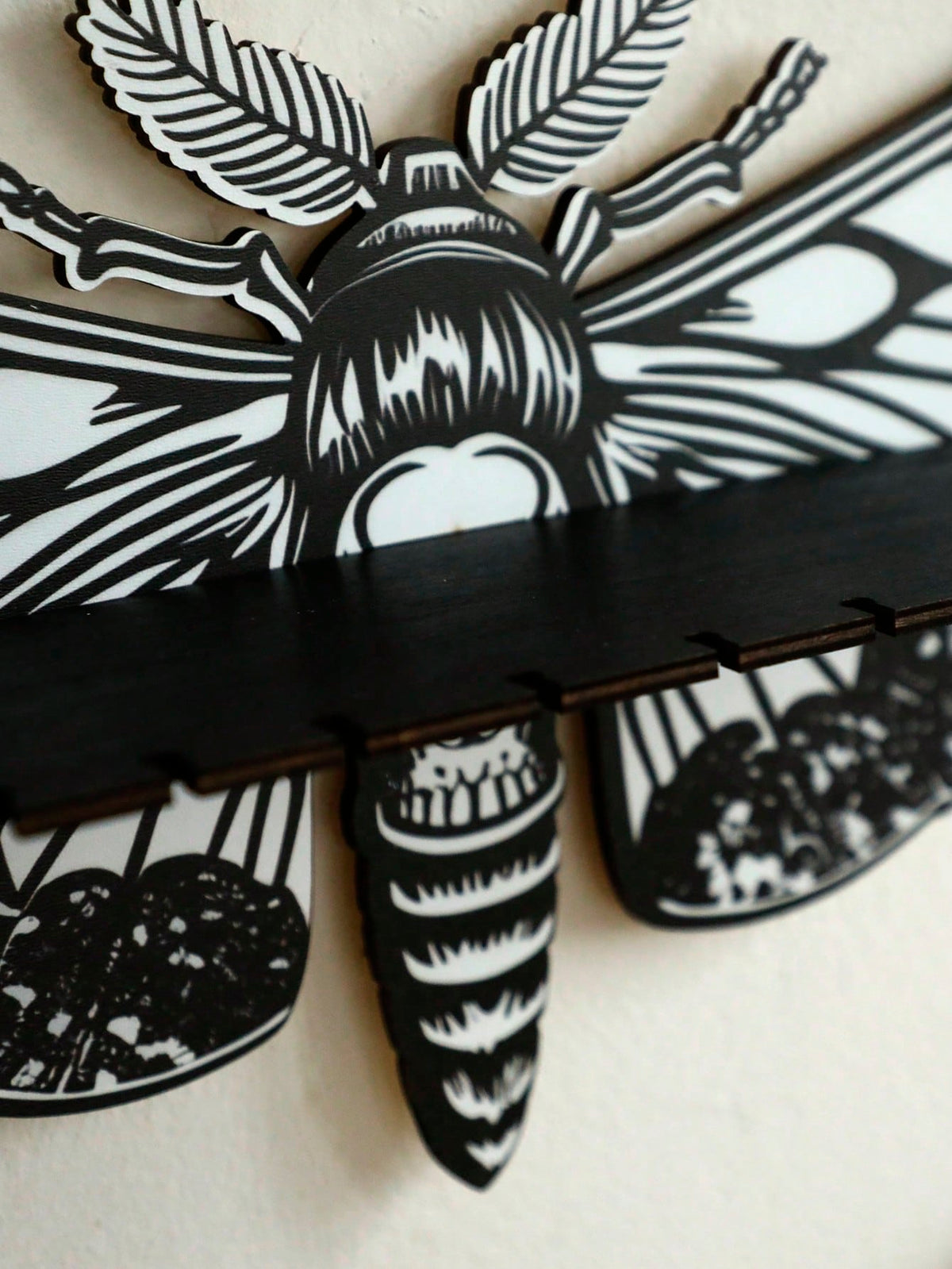 death's head moth wall shelf - Gray & White photo 8