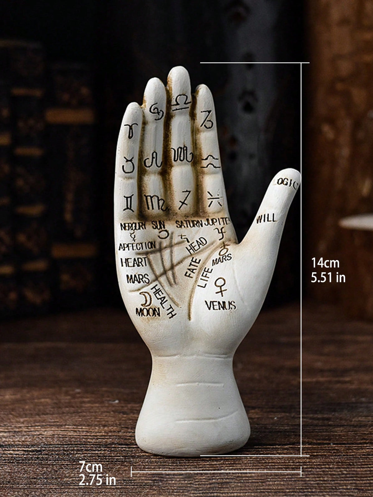 gothic skull skeleton figurines - Palmistry Hand option